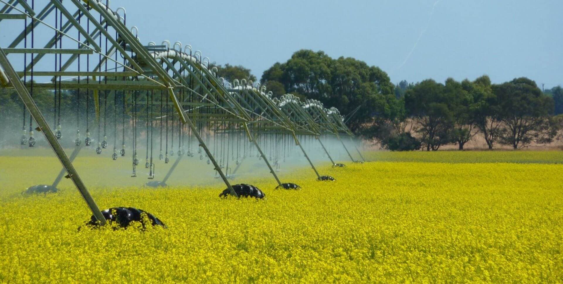 Monitoreo Remoto y Agricultura
